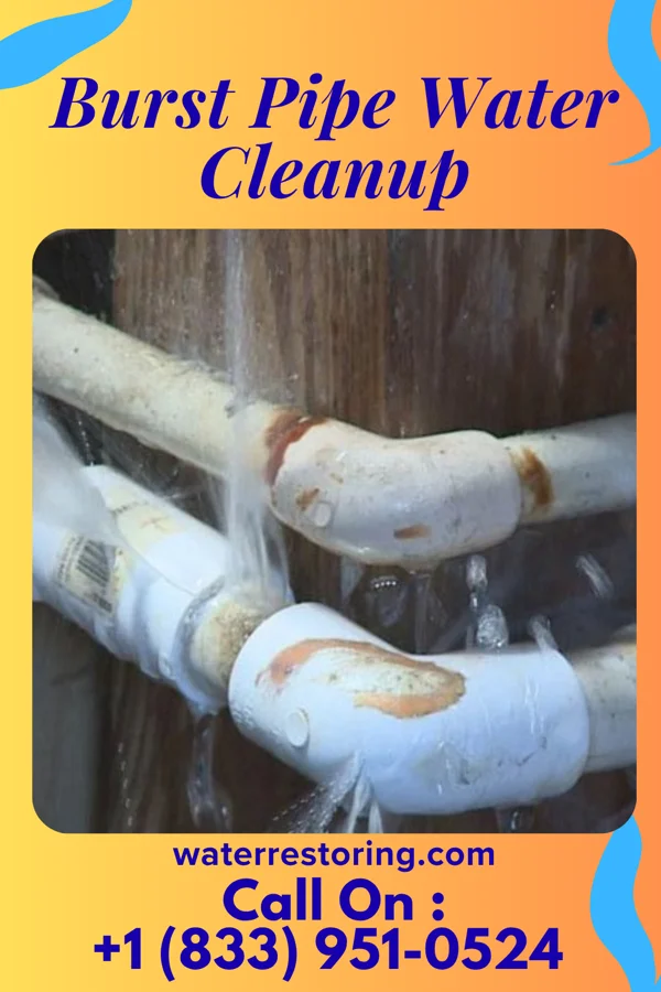 Burst Pipe Water Cleanup in Tuscumbia, MO
