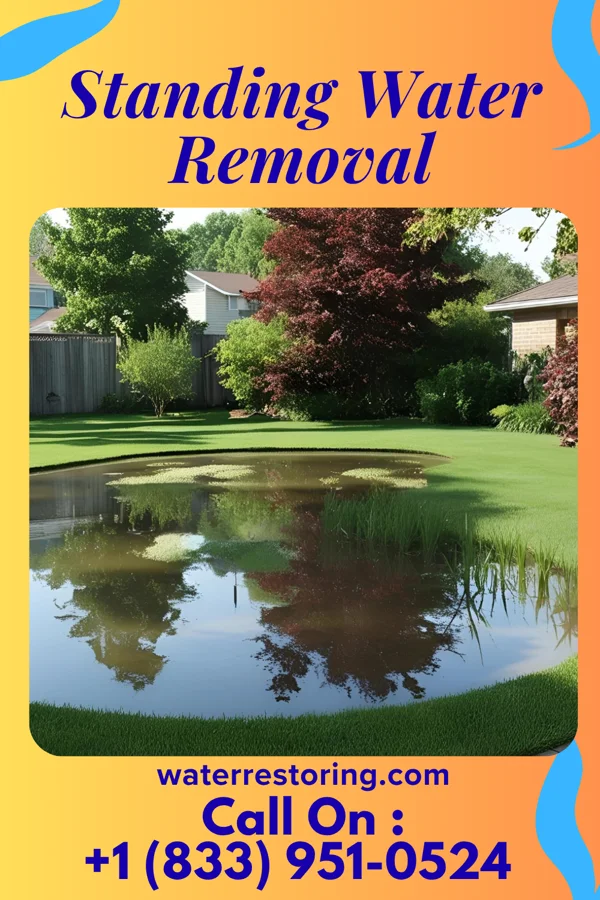 Standing Water Removal in Tuscumbia, MO